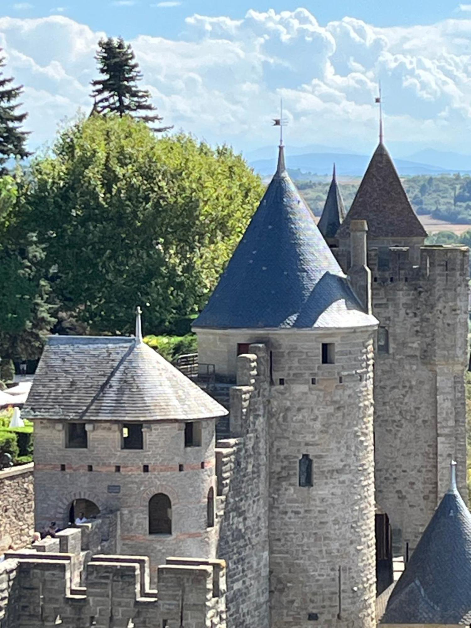 Appartement Tres Calme, Rdc, 800 M De La Cite Medievale Classee Au Patrimoine De L'Unesco Carcassone Exterior photo